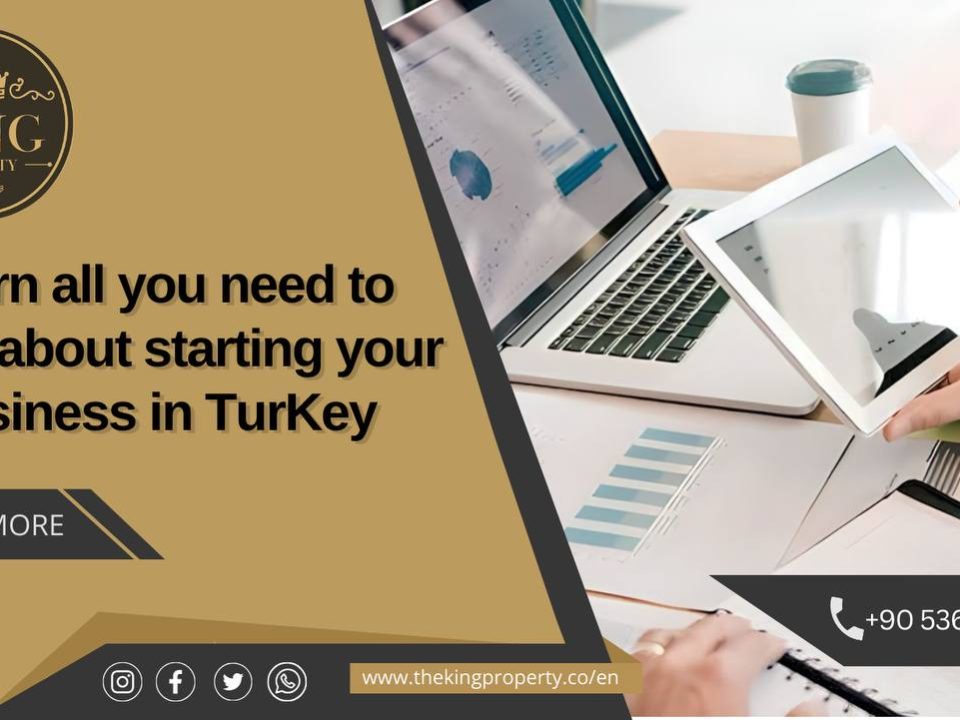 Everything You Need to Know About Starting a Company in Turkey